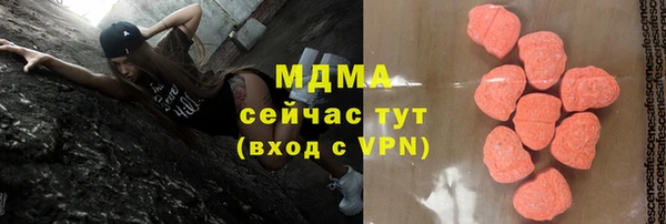 прущие грибы Аркадак