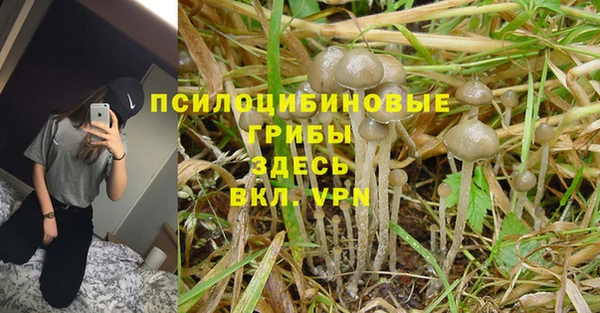 mdpv Михайлов