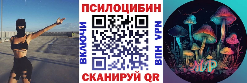 гидра маркетплейс Ядрин Псилоцибиновые грибы Psilocybe
